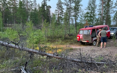 Около Якутска возникли три лесных пожара