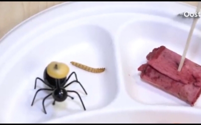 В голландских школах детям предлагают блюда из насекомых, как альтернативу мясу
