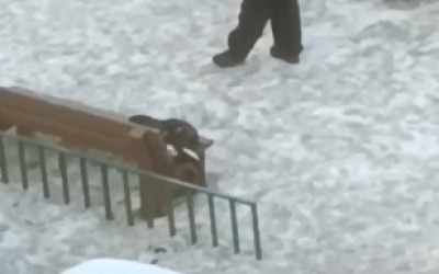 В Якутске молодой человек устроил стрельбу на детской площадке?