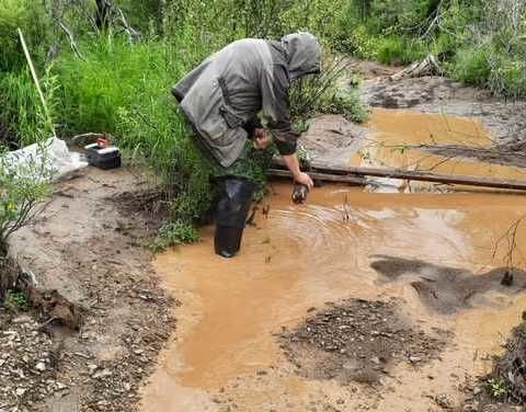В Нерюнгринском районе зафиксировано загрязнение ручья Волховский